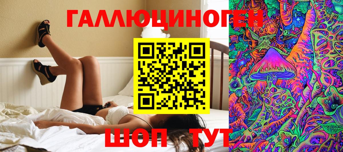 Галлюциногенные грибы Psilocybine cubensis  Вход с VPN  Армавир 